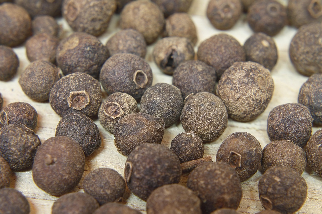 珍珠的最新吃法视频，珍珠新食法，视频大赏