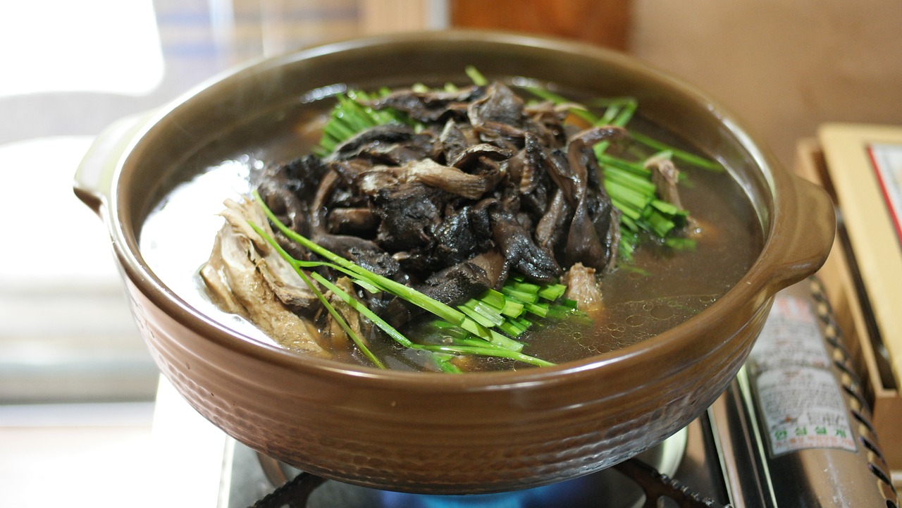 西安美食新地标，探秘最新热门鸡汤店，温暖你的味蕾与心灵，西安新晋美食地标，探寻热门鸡汤店，暖胃又暖心