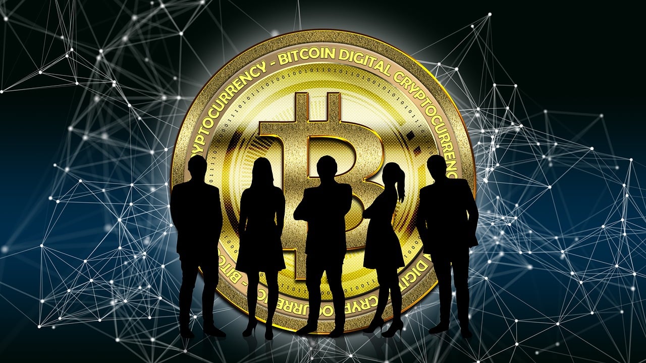 新奥彩908008网站的可靠性计划解析
