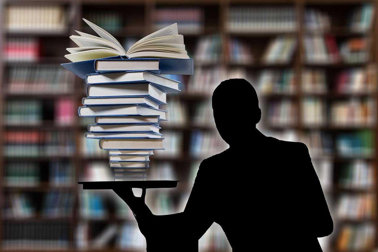 揭露:2025新澳期期精准正版免费-可持续解读、解释与落实,防范虚假的诱饵